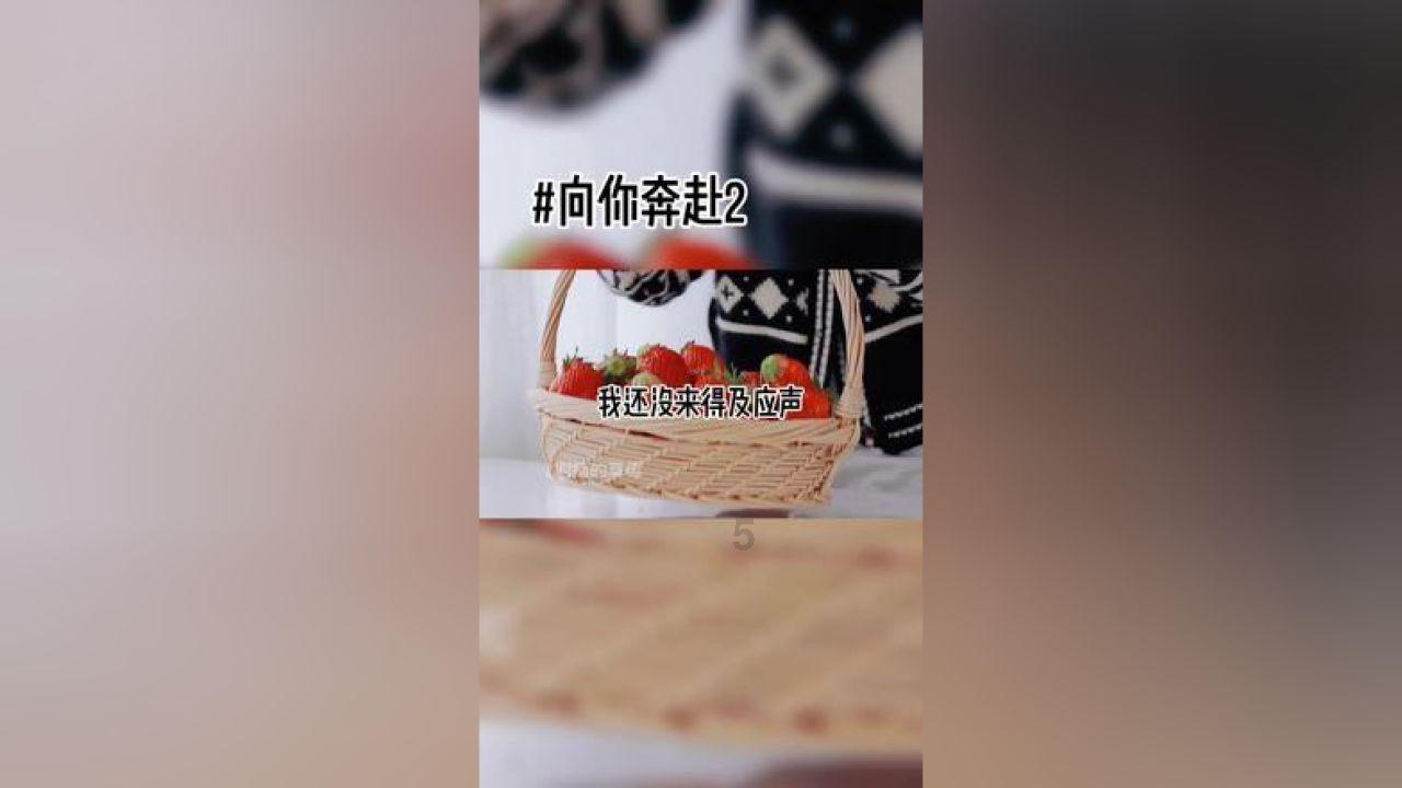 探索盛世芳华楚王爱吃的菜谱知识星球,解锁无限智慧